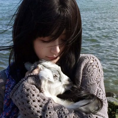 男子游泳部:最后的划水 剧场版前篇